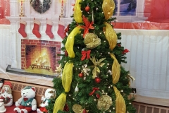 20161206_135043